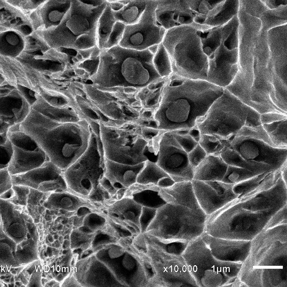 掃描電鏡實(shí)驗(yàn)服務(wù)